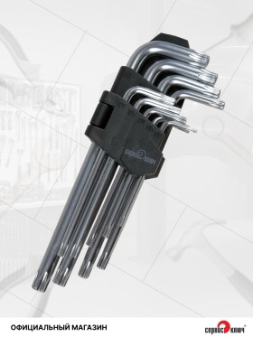 Набор Г-образных звездочек torx с отверстием на конце 9 предметов