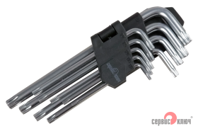 Набор Г-образных звездочек torx с отверстием на конце 9 предметов Proffi