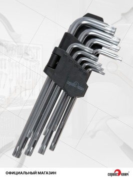 Набор Г-образных звездочек torx с отверстием на конце 9 предметов Proffi